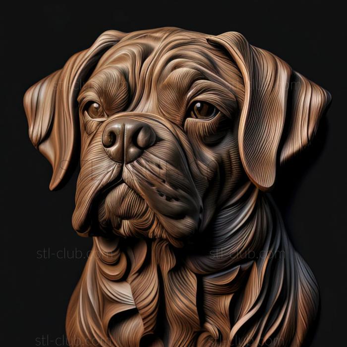 st Moody dog breed dog